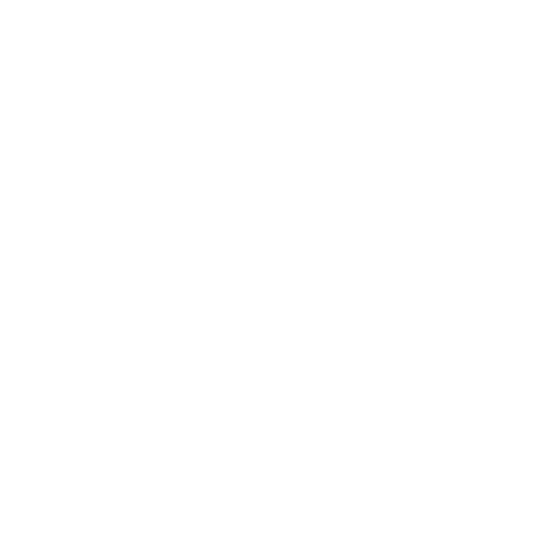 FCS Consulting